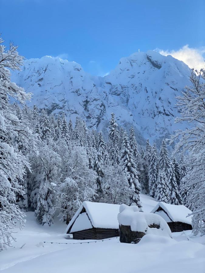 Rusalka Zakopane Kültér fotó